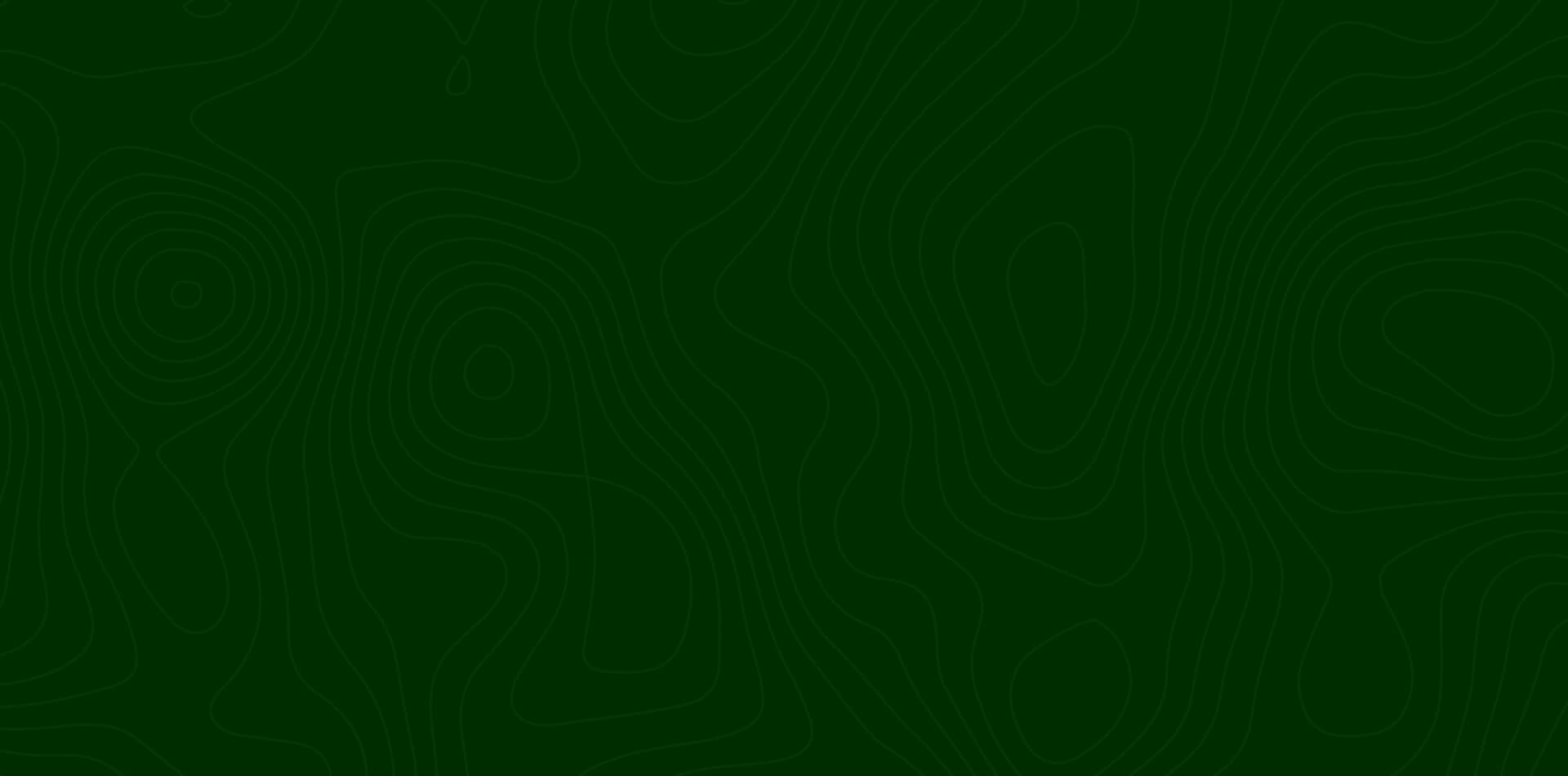 213801c8d5c1311de63d8454e67f4f572ef09349