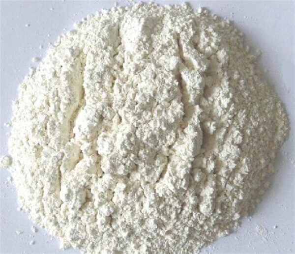 Dehydrated-onion-powder