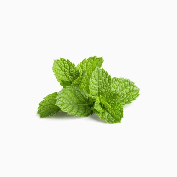 Spearmint - Image 2