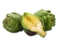 Artichoke