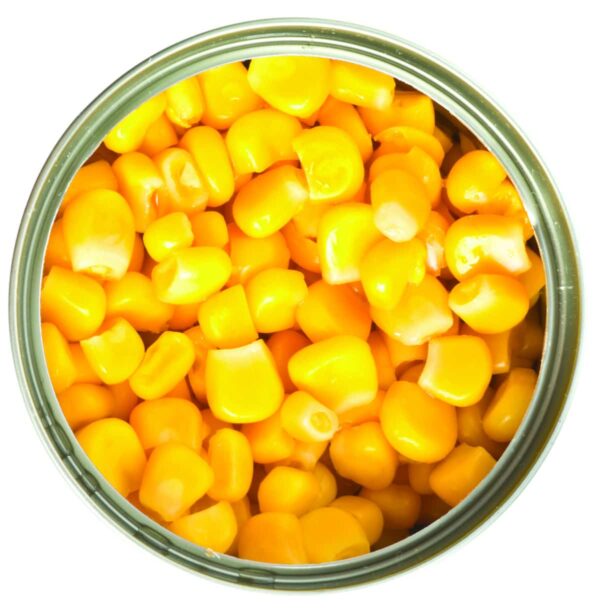 Canned sweet corn - Image 2